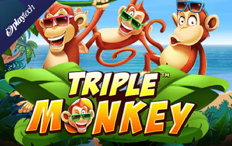 Triple Monkey